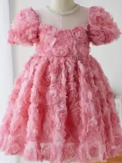 Robes de demoiselle d'honneur de mariage Robes pour occasions spéciales Manches courtes roses Volants