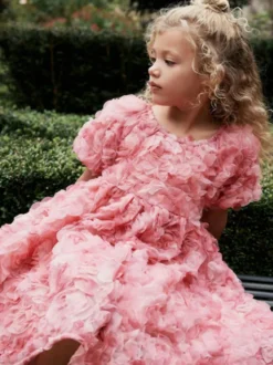 Robes de demoiselle d'honneur de mariage Robes pour occasions spéciales Manches courtes roses Volants
