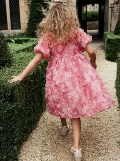 Robes de demoiselle d'honneur de mariage Robes pour occasions spéciales Manches courtes roses Volants