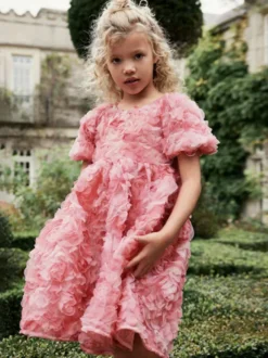 Robes de demoiselle d'honneur de mariage Robes pour occasions spéciales Manches courtes roses Volants