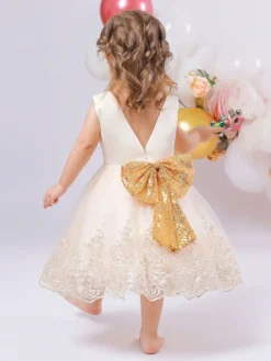 Robes de fille de fleur blanche robes d'occasion spéciale dentelle bleu royal sans manches col bijou robes de fille de fleur