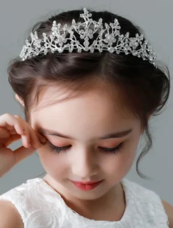 Serre-tête de fille de fleur courrone de fille