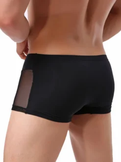 Short de boxe sexy en nylon semi-transparent pour hommes
