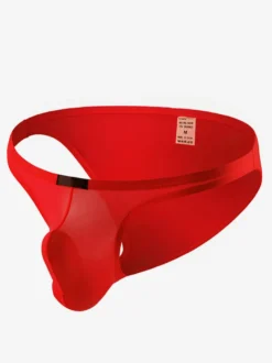 Slips Pour Hommes Nylon Sexy
