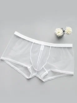 Sous-vêtements Lingerie Homme Lingerie Homme Sexy Culotte Transparente Ture Rouge Lingerie